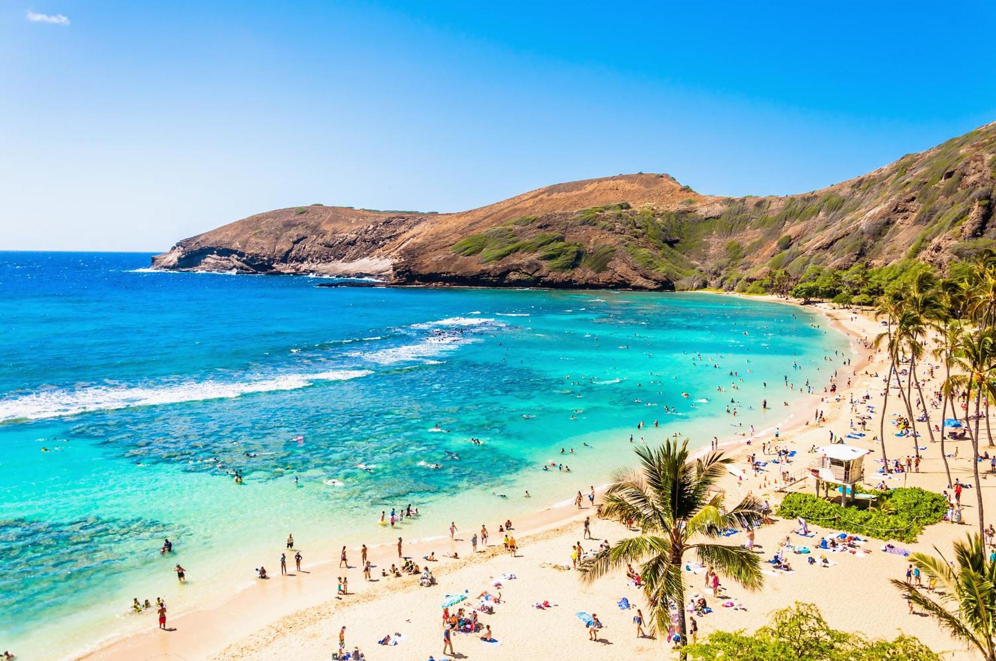 Diamond Head And Ocean View With Parking *
